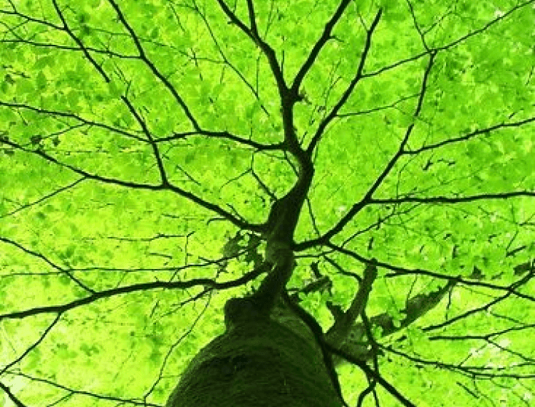 Background image Background image
